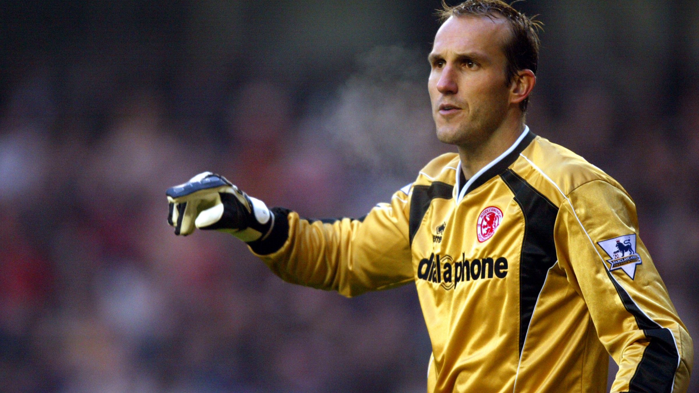 Mark Schwarzer 2