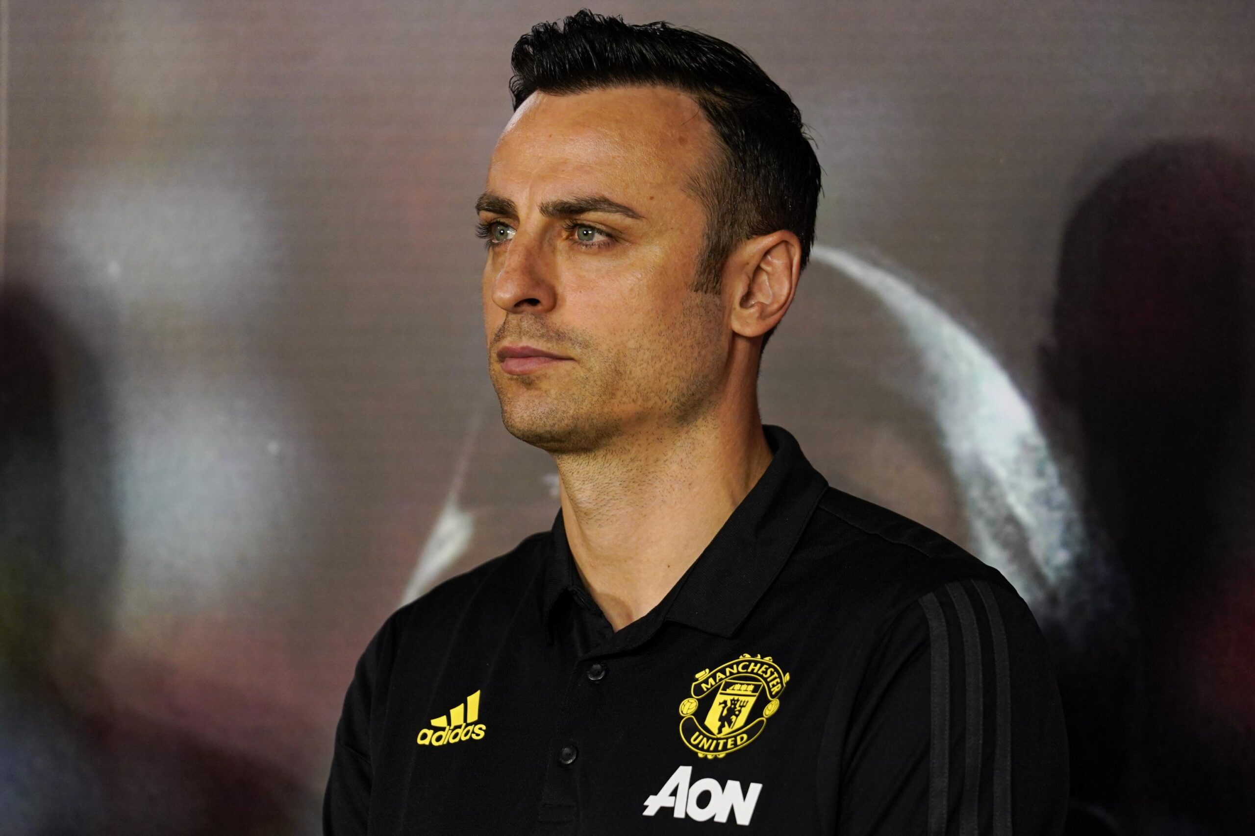 Berbatov 5